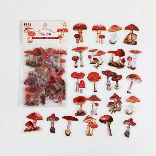 PET-stickers | Paddenstoelen