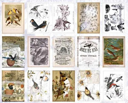 Papierblokje 60 vellen | Vogels