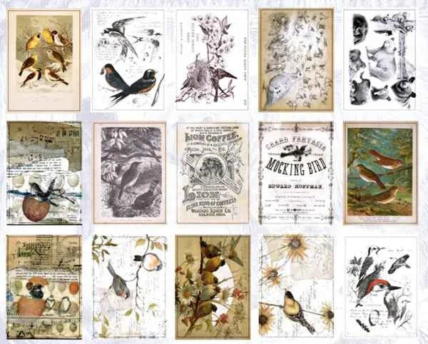Papierblokje 60 vellen | Vogels